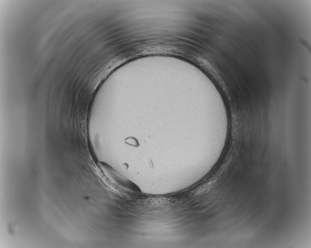 X0000099541041200806131145