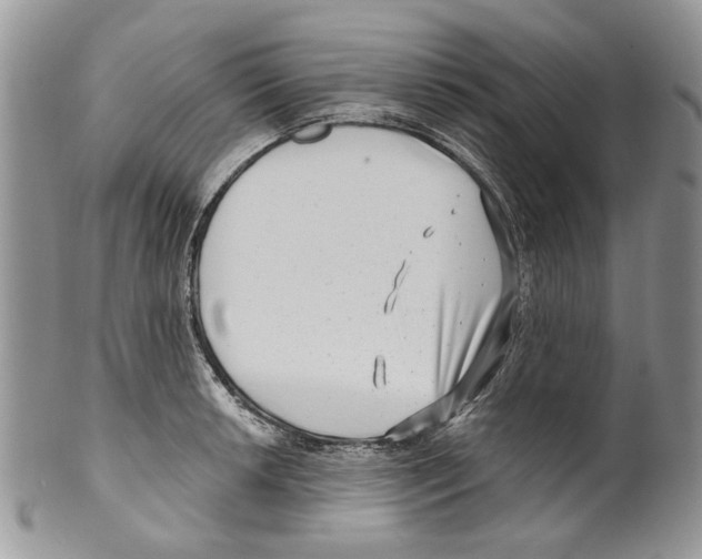 X0000099541042200806131145