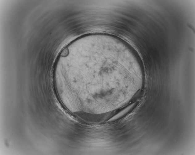 X0000099541045200806131145