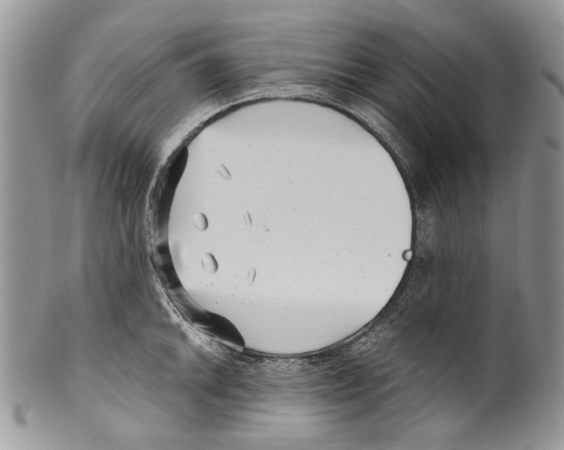 X0000099541046200806131145