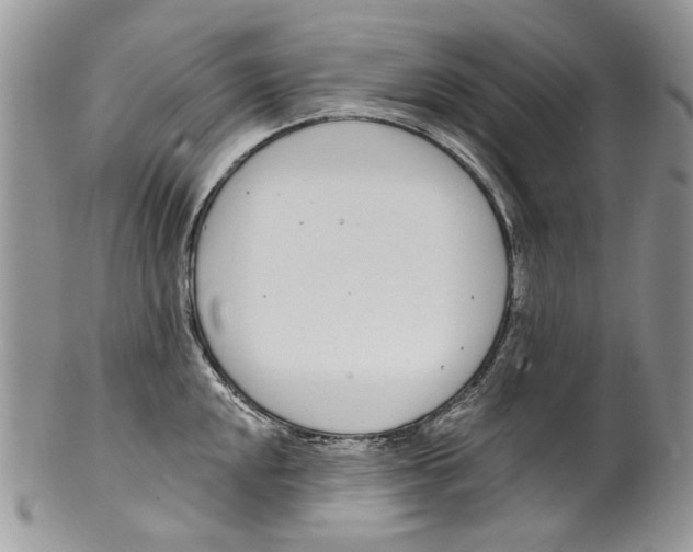 X0000099541048200806131145