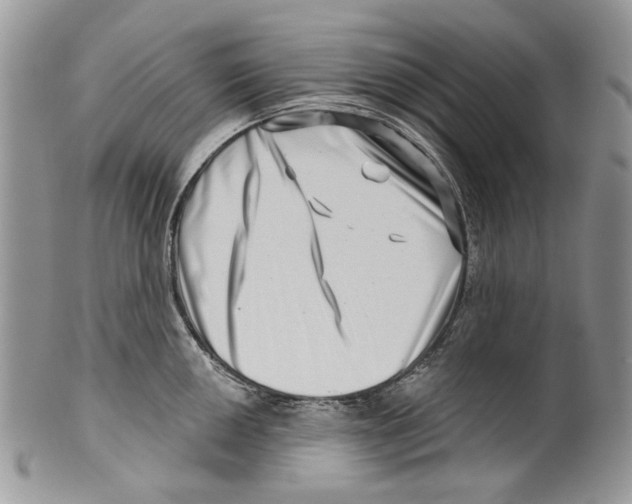 X0000099541050200806131145