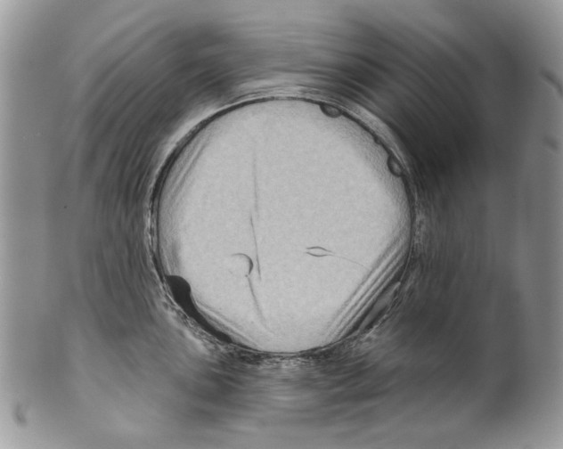 X0000099541051200806131145