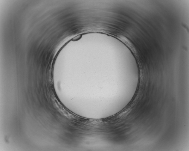 X0000099541052200806131145