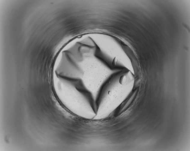 X0000099541054200806131145