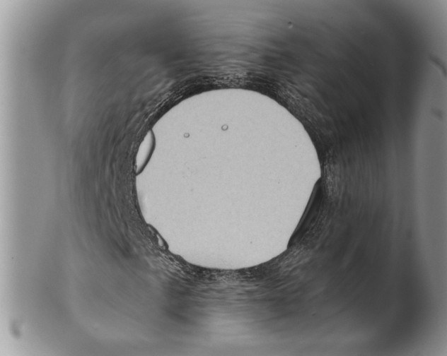 X0000099541057200806131144