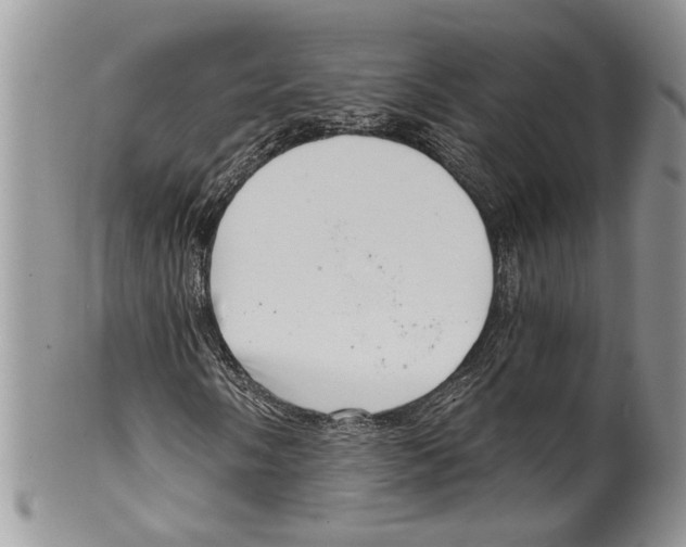 X0000099541058200806131144