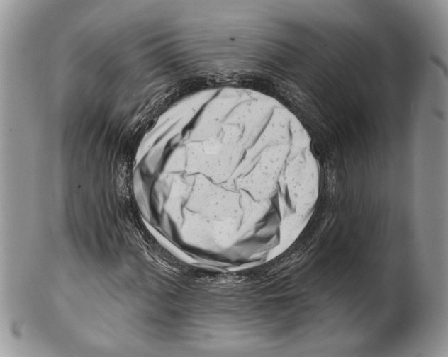 X0000099541060200806131144