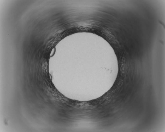 X0000099541061200806131144