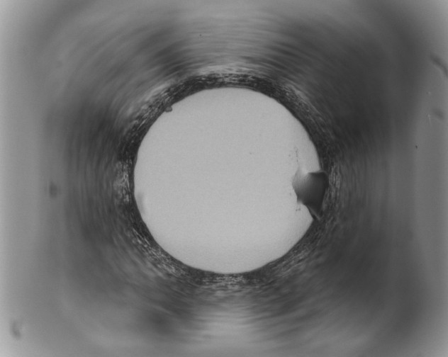 X0000099541062200806131144