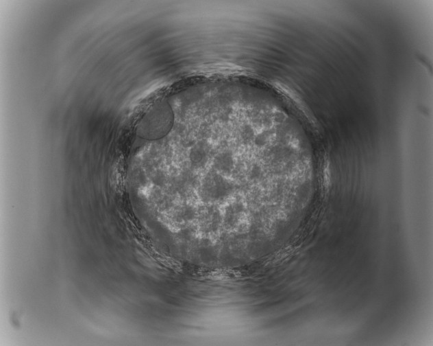 X0000099541063200806131144