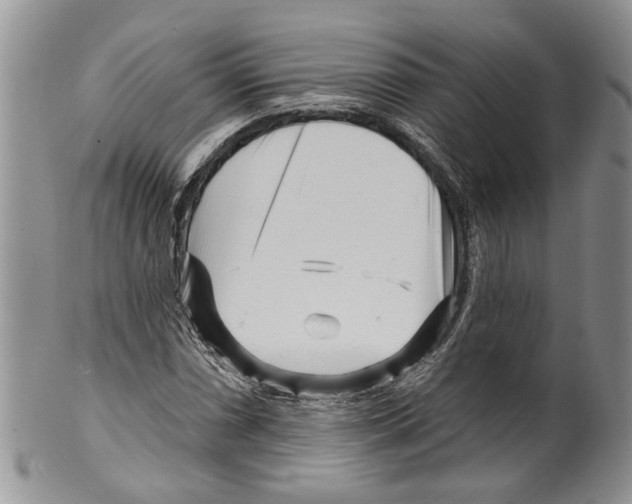 X0000099541066200806131144