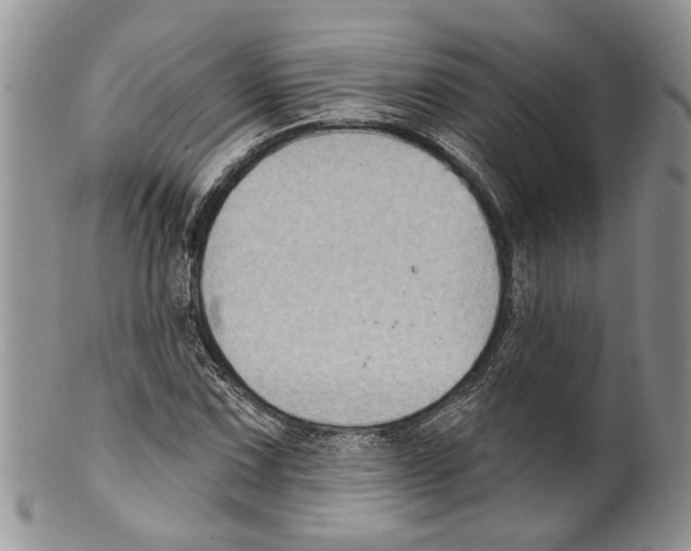 X0000099541067200806131144