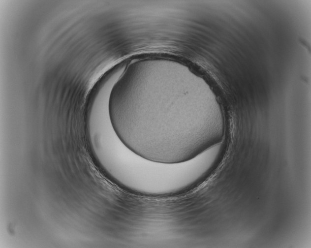 X0000099541069200806131144