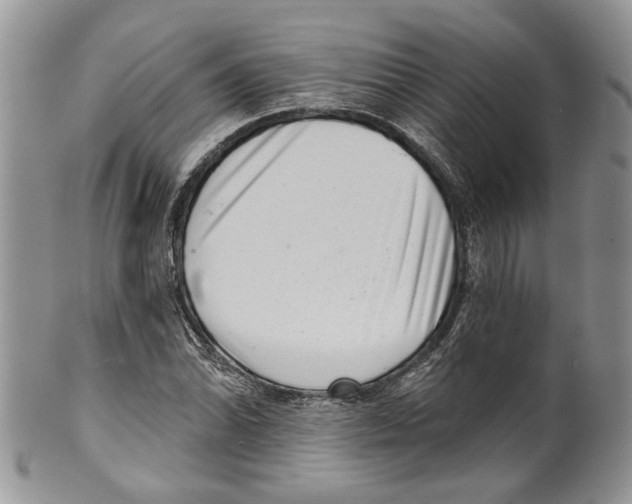 X0000099541070200806131144