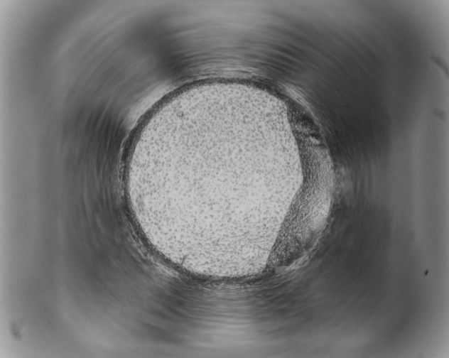 X0000099541071200806131144