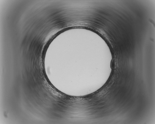 X0000099541072200806131144