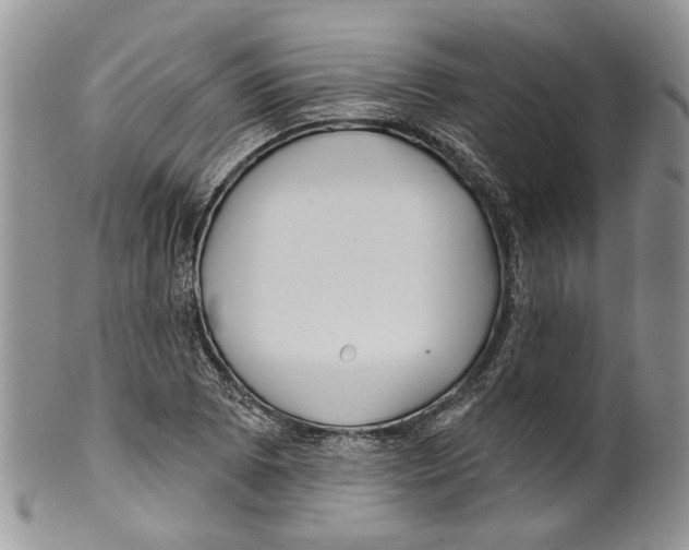 X0000099541073200806131144