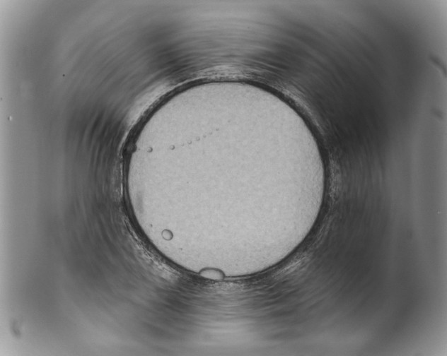 X0000099541075200806131144