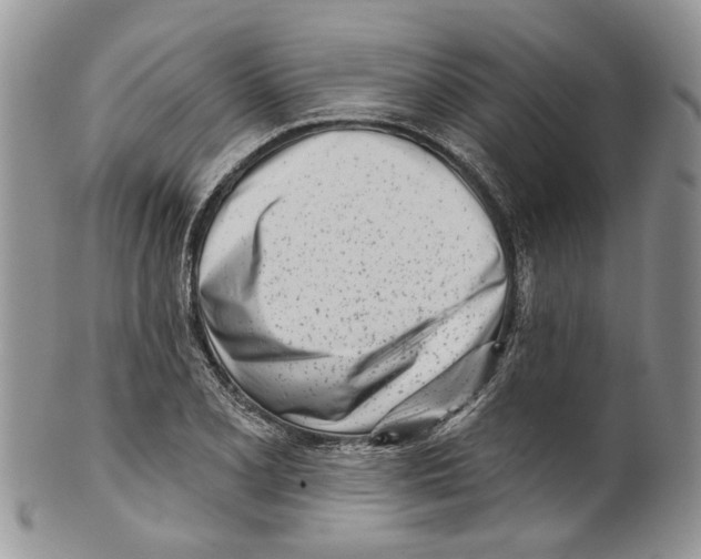 X0000099541077200806131144