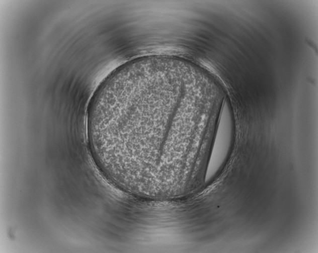 X0000099541079200806131144