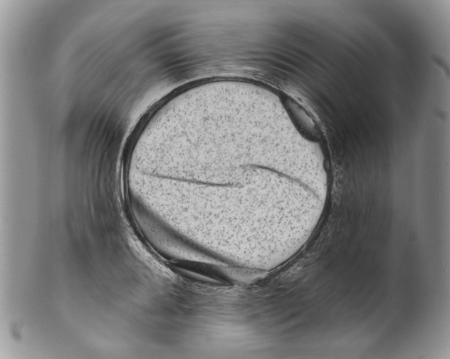 X0000099541080200806131144