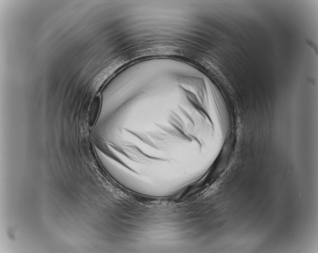 X0000099541081200806131144