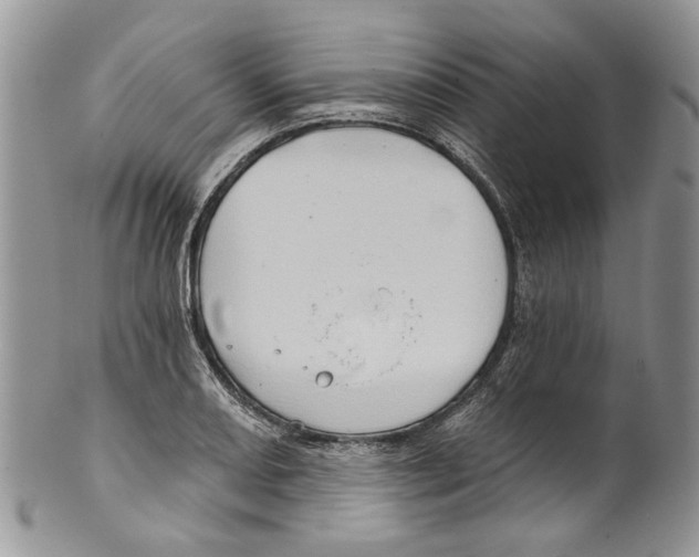 X0000099541082200806131144