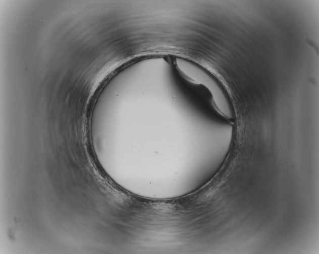 X0000099541085200806131144