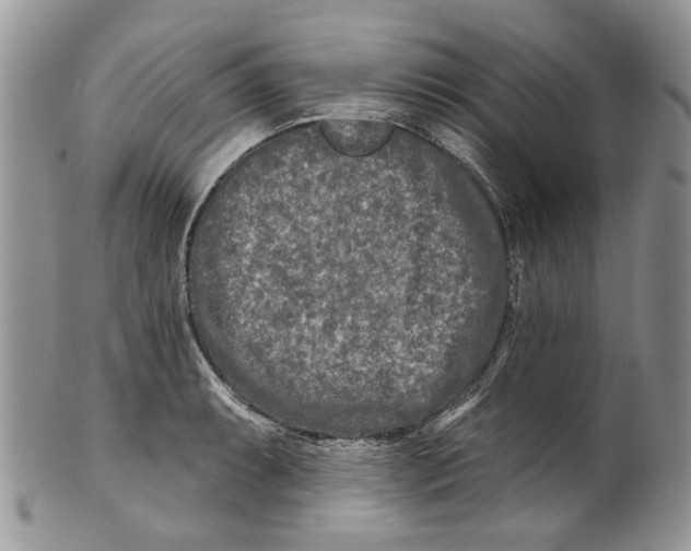 X0000099541087200806131144