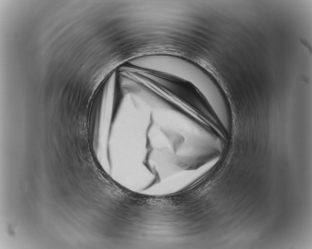 X0000099541089200806131144