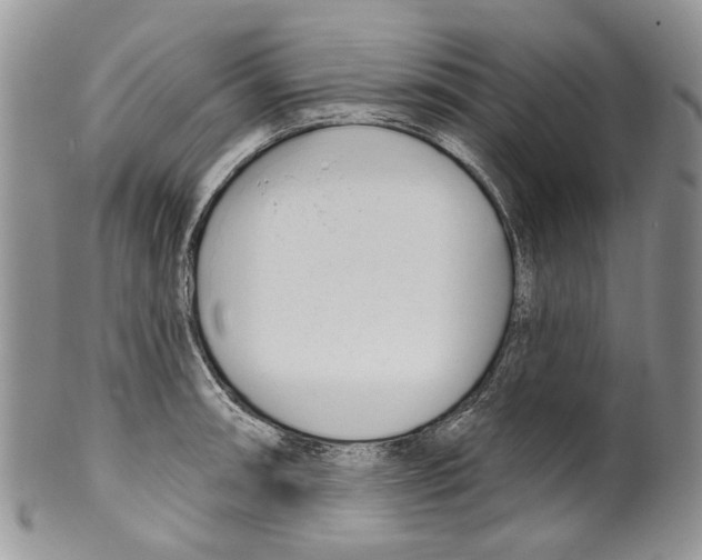 X0000099541090200806131144