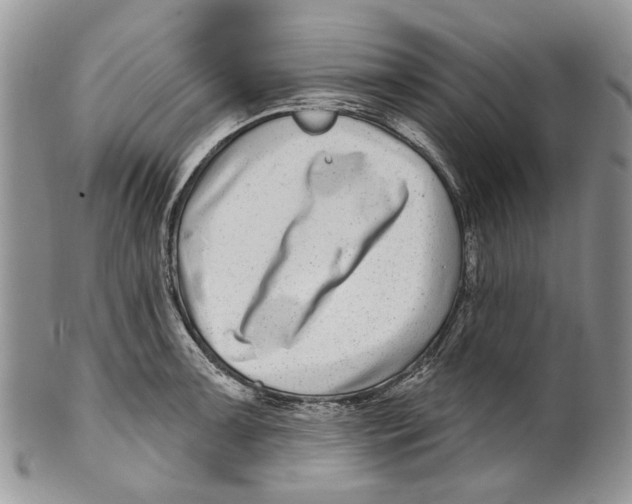 X0000099541091200806131144