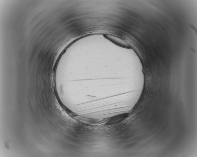 X0000099541092200806131144