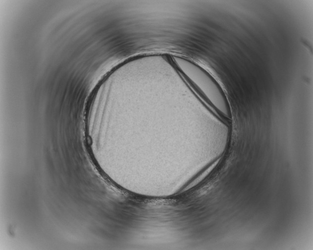 X0000099541093200806131144