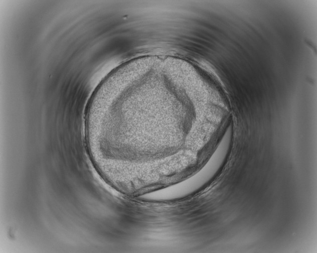 X0000099541095200806131144