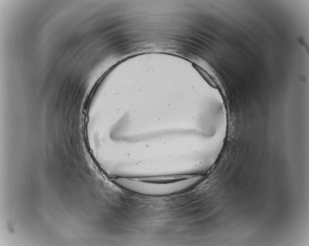 X0000099541096200806131144