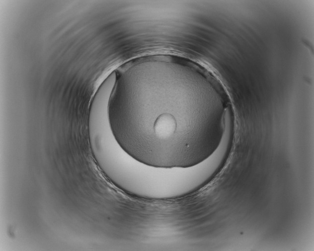 X0000099541097200806131144