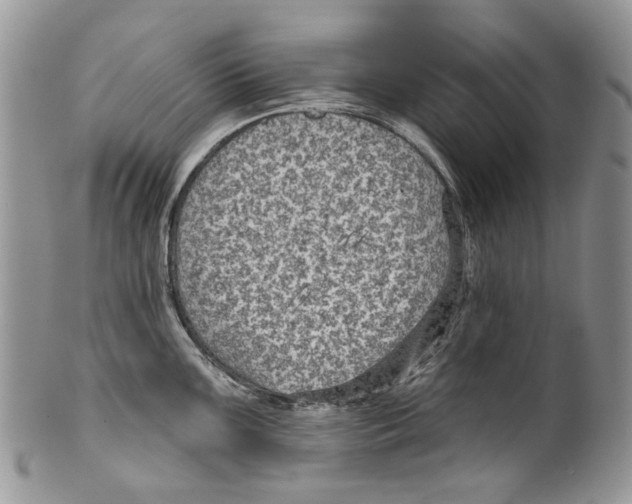 X0000099541099200806131143