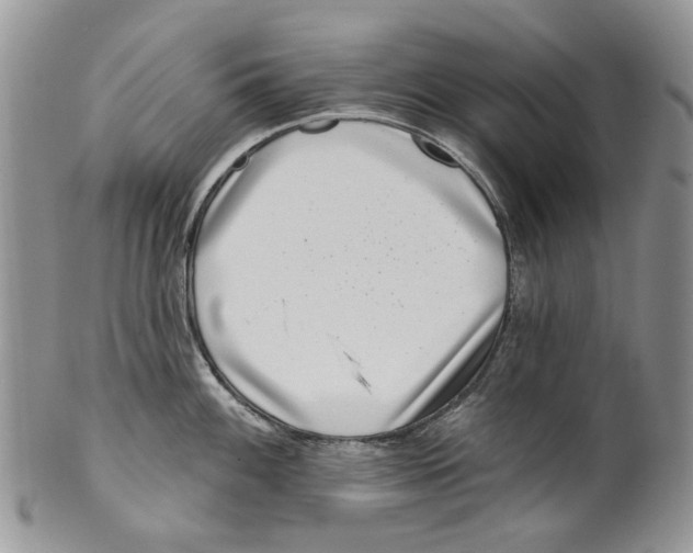 X0000099541100200806131143