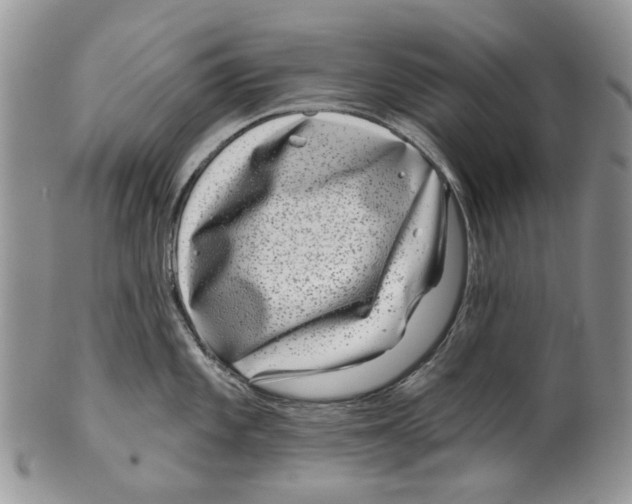 X0000099541101200806131143