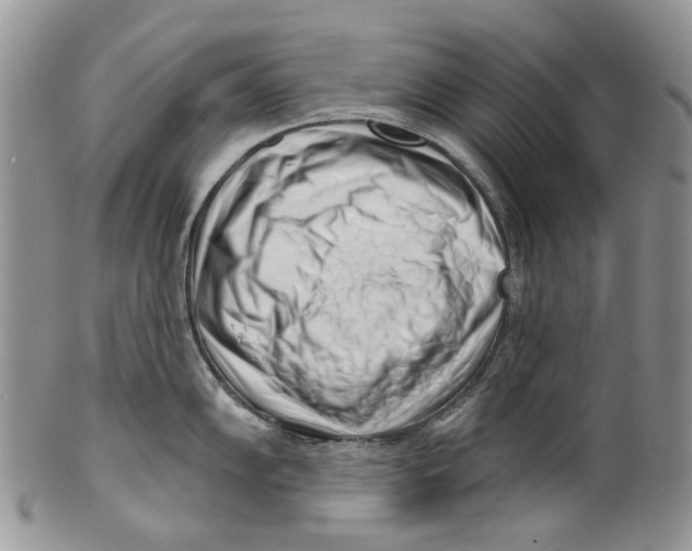 X0000099541102200806131143