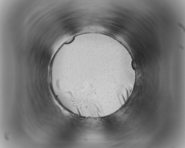 X0000099541103200806131143