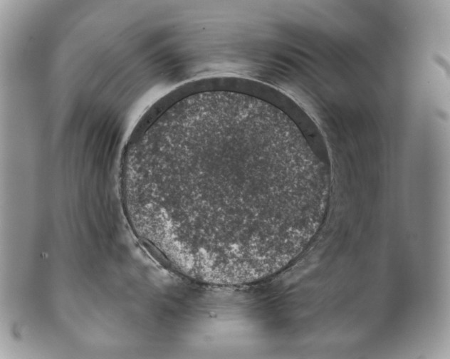 X0000099541104200806131143