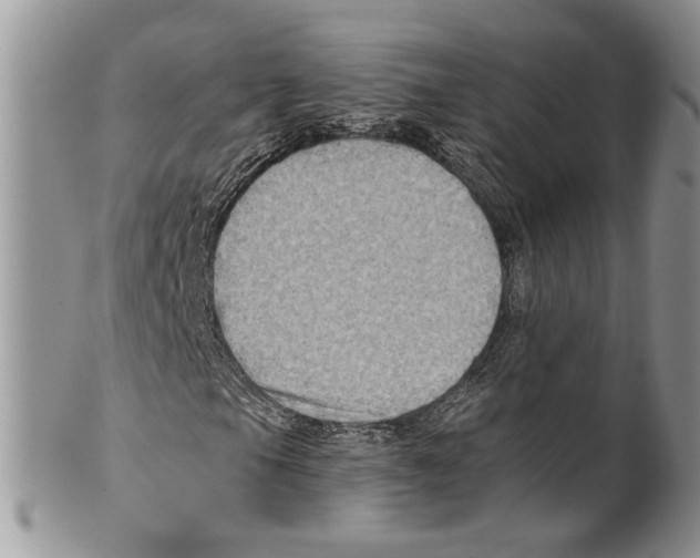 X0000099541105200806131143