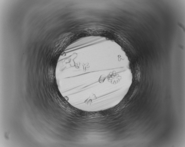 X0000099541108200806131143