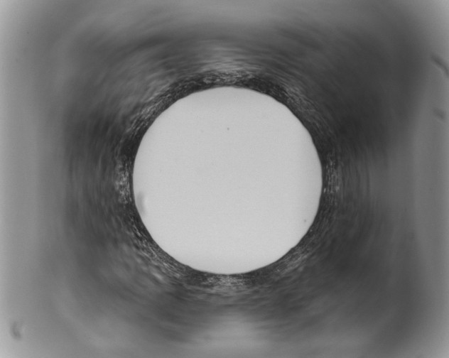 X0000099541109200806131143