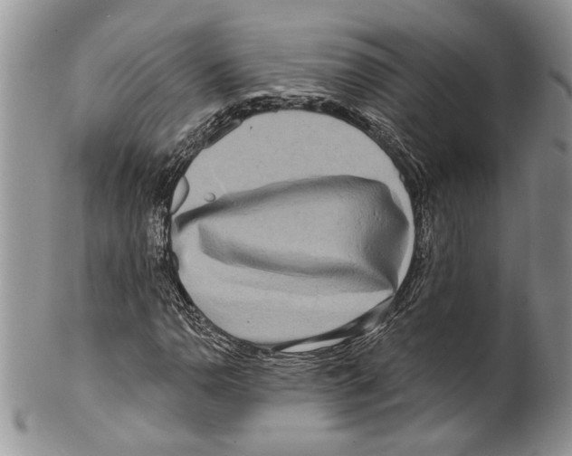 X0000099541110200806131143