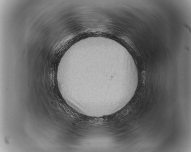 X0000099541111200806131143