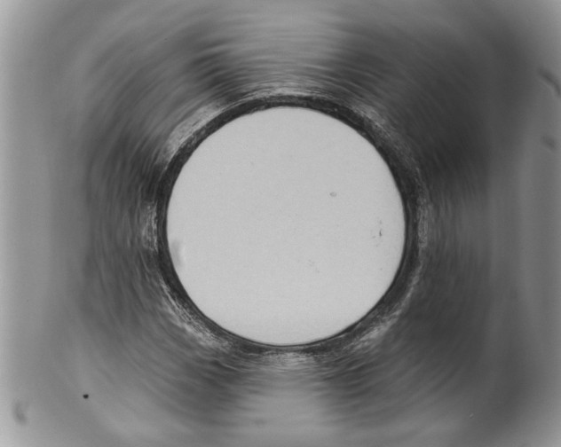 X0000099541113200806131143